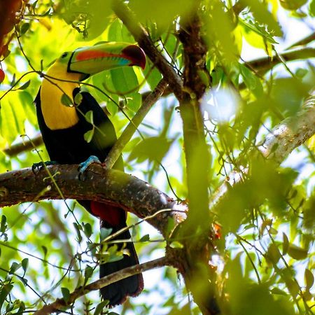 Ecolodge El Sombrero Laguna Yaxha Eksteriør bilde