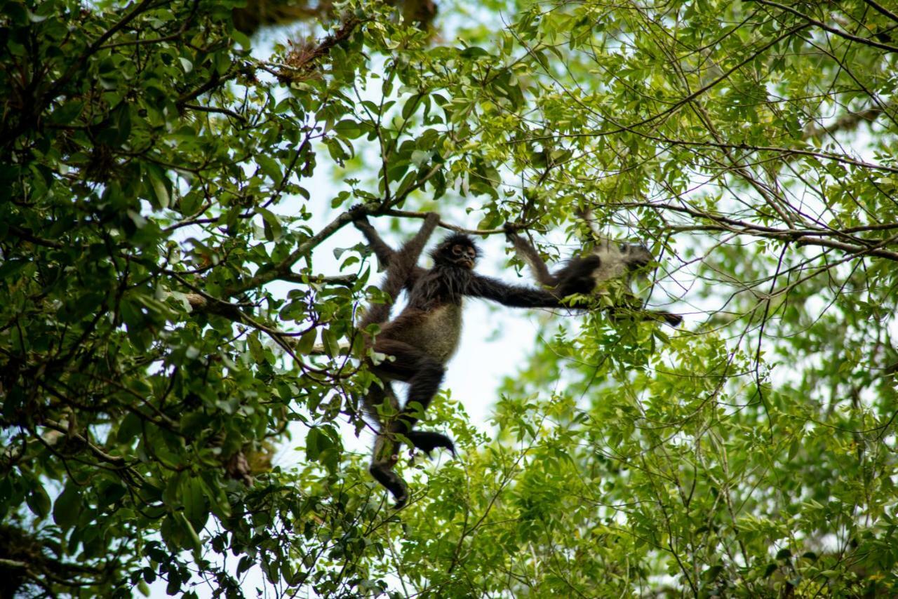 Ecolodge El Sombrero Laguna Yaxha Eksteriør bilde