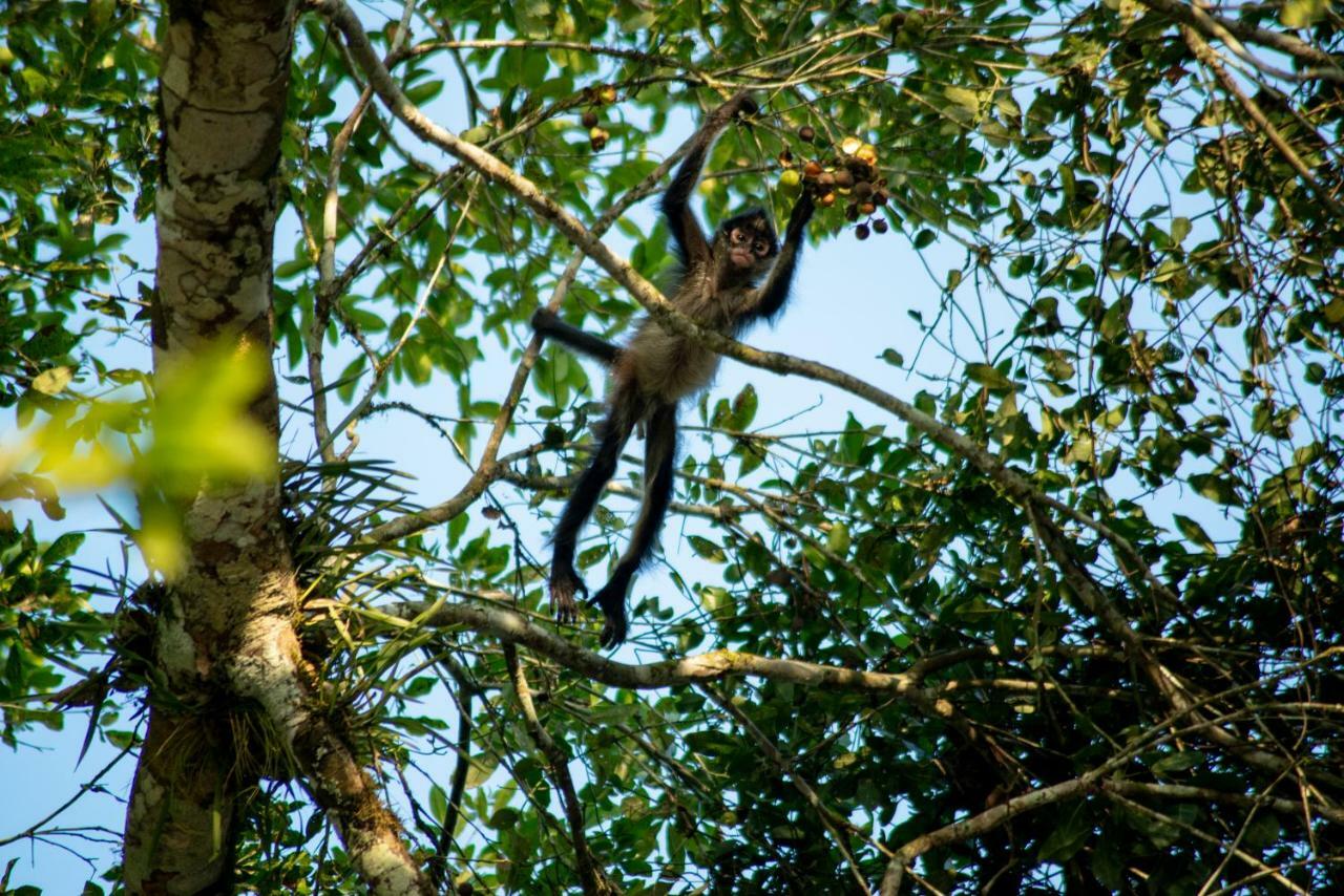 Ecolodge El Sombrero Laguna Yaxha Eksteriør bilde